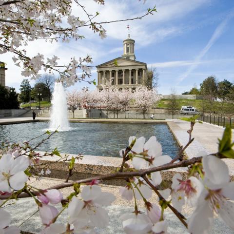 Tennessee State Capitol and blooming dogwood trees in Nashville TN