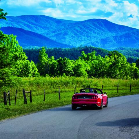 According to AAA, 36.6 million Americans will roadtrip during Memorial Day Weekend.